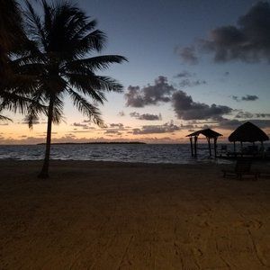 Meet your Posher, Lily